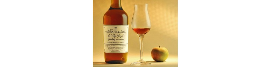 Licor de Sidra