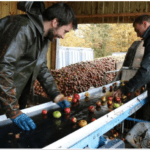 FireShot Capture 62 – Le cidre du Perche vise l’Appellation _ – https___www.lechorepublicain.fr_no