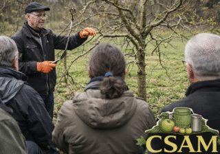 El CSAM entama un cursu de frada d'iviernu