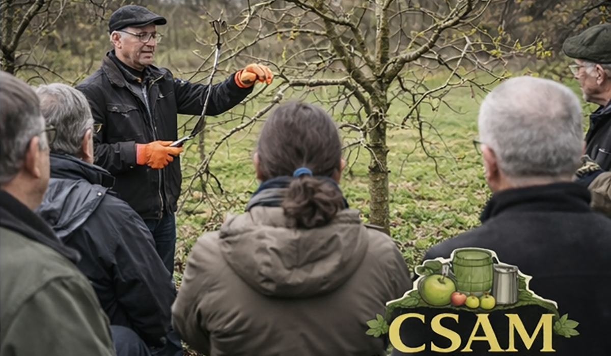 El CSAM entama un cursu de frada d'iviernu