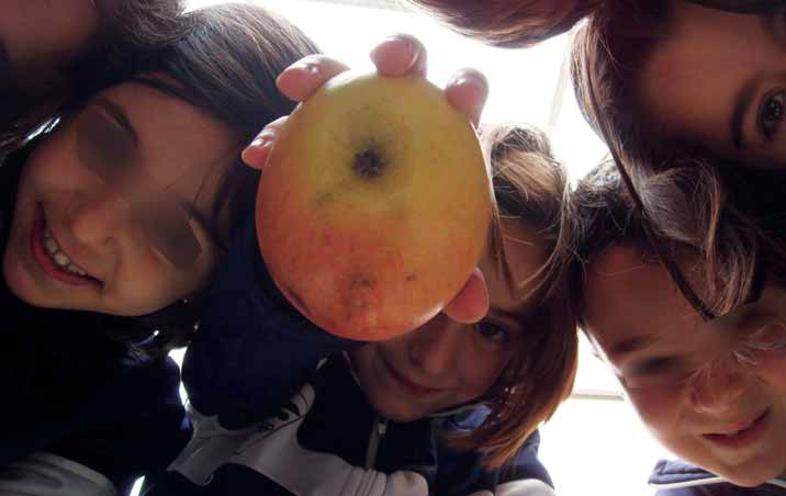 Un grupu d’escolinos observa de cerca una mazana